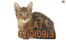 cat eziologia